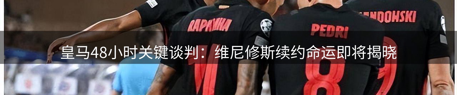 新闻动态