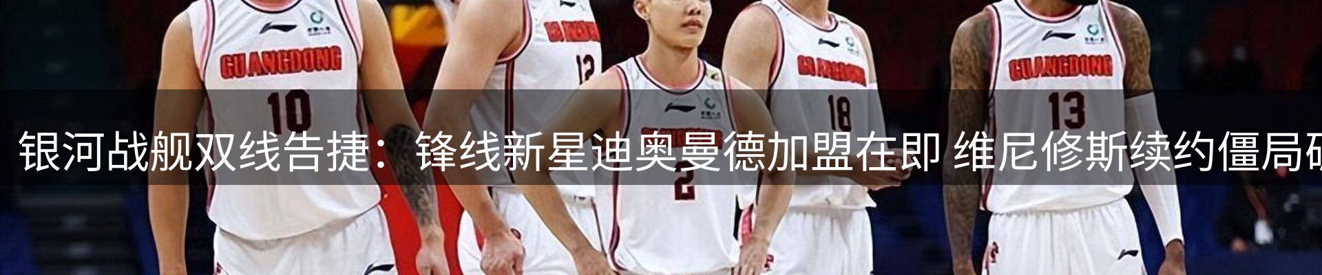 新闻动态